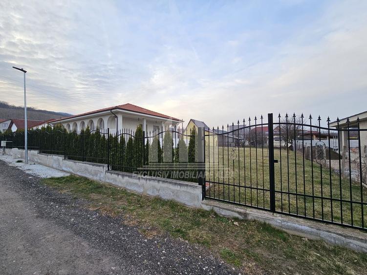 Casa individuala | 290 mp | 1200 mp teren | Mobilata | Alba-Micesti
