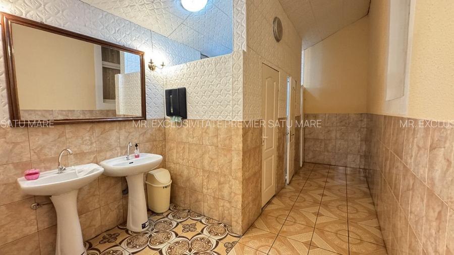 Spații de Inchiriat - Proprietate cu funcțiuni mixte – Str. Căplenilor Carei - 17