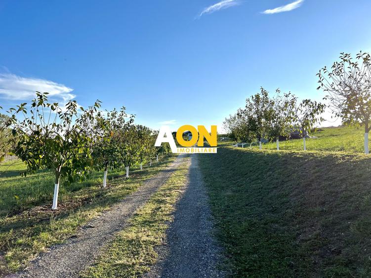 Ferma de vanzare cu 550MP utili si 27.500MP teren la asfalt