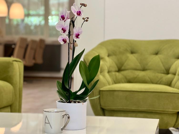 Duplex lux de închiriat