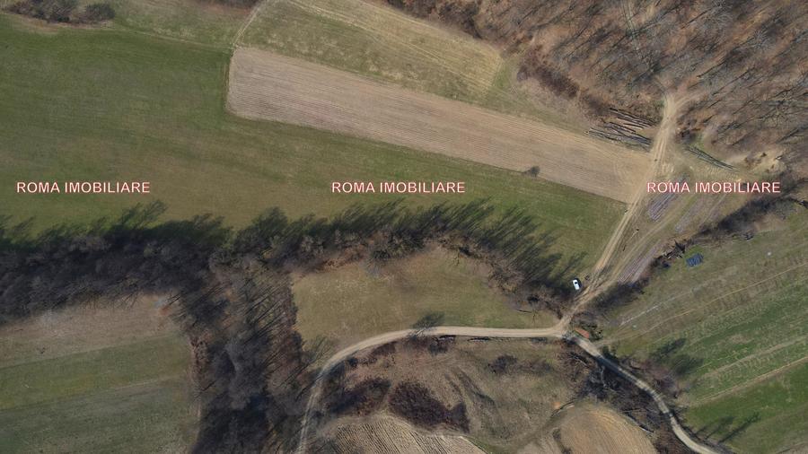 Teren superb de vânzare în Dumbrăvița – 3.750 mp