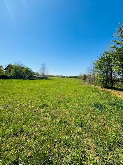 Teren intravilan 3800 mp Alparea lângă pădure