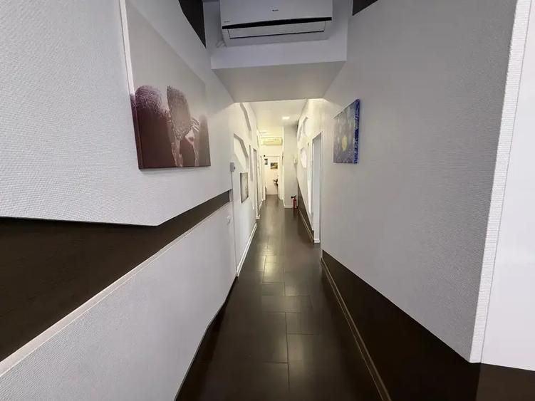 Spatiu Comercial Alexandru Constantinescu | Piata Domenii | Stradal