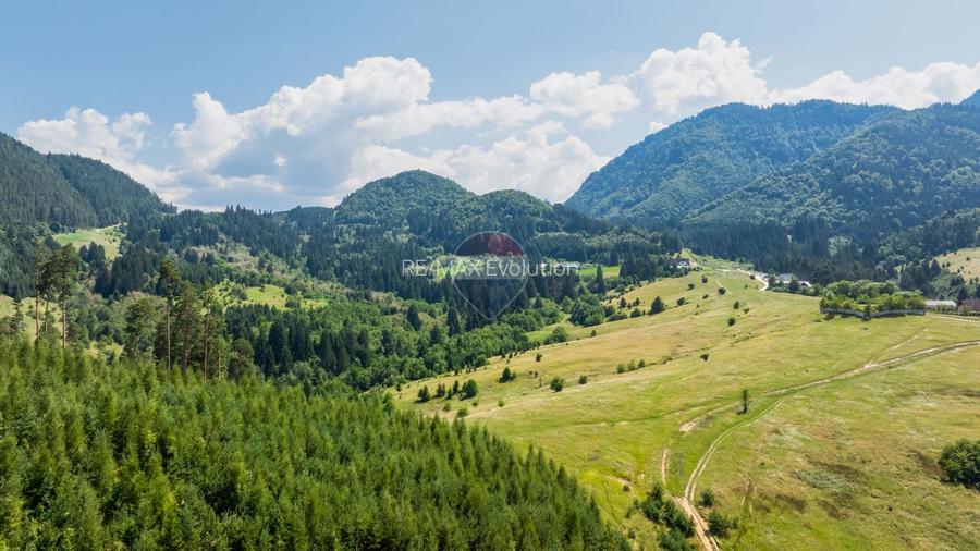 Comision 0%! Studio intr-o zona superba, Inconjurat de pădure | Bunloc