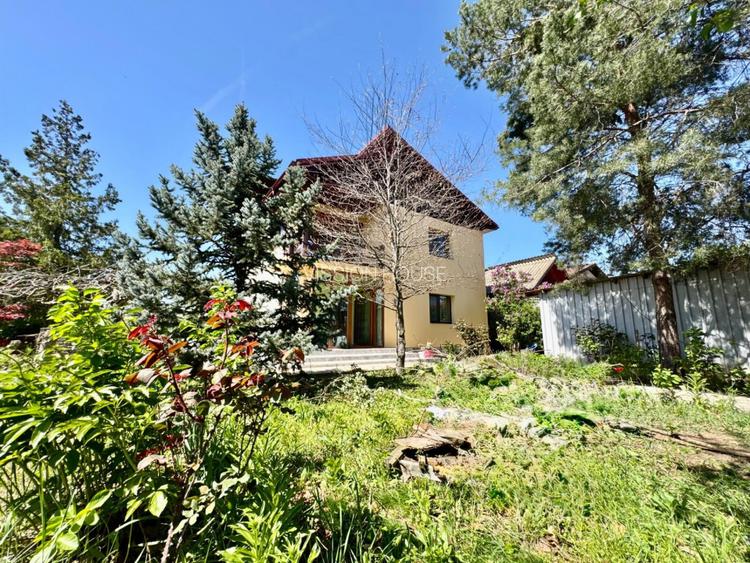 Vilă P+1 Buftea | 150 mp utili | Teren 992 mp | Curte amenajată - 3