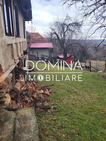 Teren generos 4790 mp + casă tradițională, în loc. Mușetești