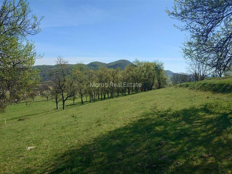 Teren intravilan si extravilan Luncoiu de Jos - 6