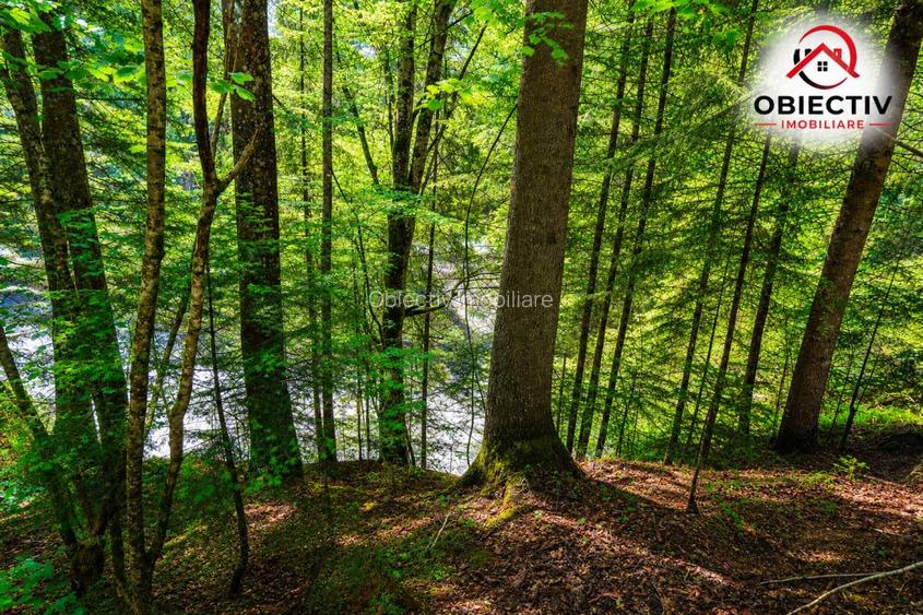 Cabană de Vânzare în Tarcău – Natură, Relaxare și Pescuit la Poartă! - 5