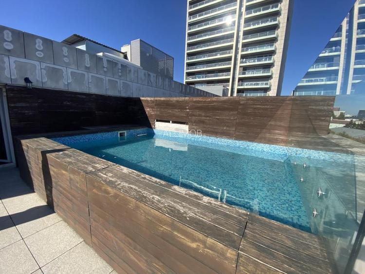 Penthouse, 5 camere, piscina proprie, zona  Kiseleff - Arcul de Triumf. - 21