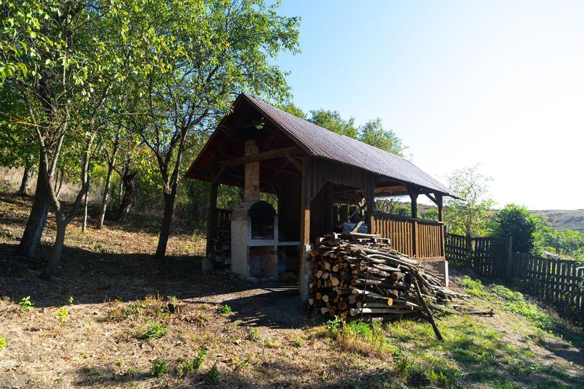Teren Parcelabil I 11400 MP I Corpadea