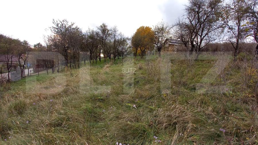 Investiție! Teren intravilan construibil 1651 mp, 25 m front, Filea-Ciurila!