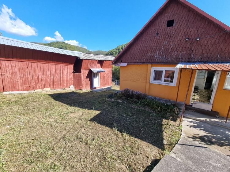 Exclusivitate! Casă in Avram Iancu cu teren de 26.621 mp, 4 camere