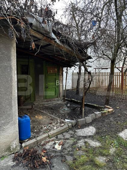 Apartament 1 cameră | Zonă centrală | Demisol înalt | Curte - 8