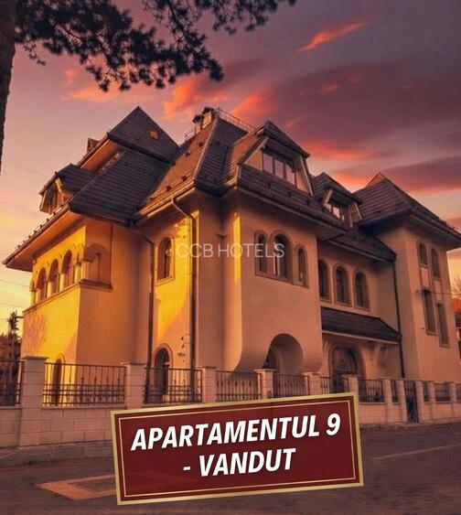 Apartament de vacanta VANDUT - (AP9)
