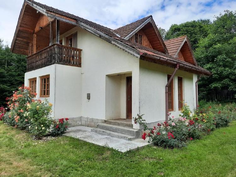 CASA DE VACANTA/CABANA DE VANATOARE