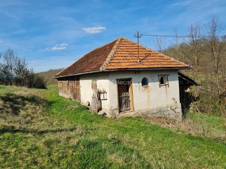 Proprietar vand casa+ teren 13000mp, Steia, Tomesti, jud. Hunedoara, 20km de Bra - 12