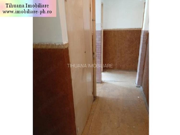 Apartament 3 camere de vanzare : Malu Rosu - 6