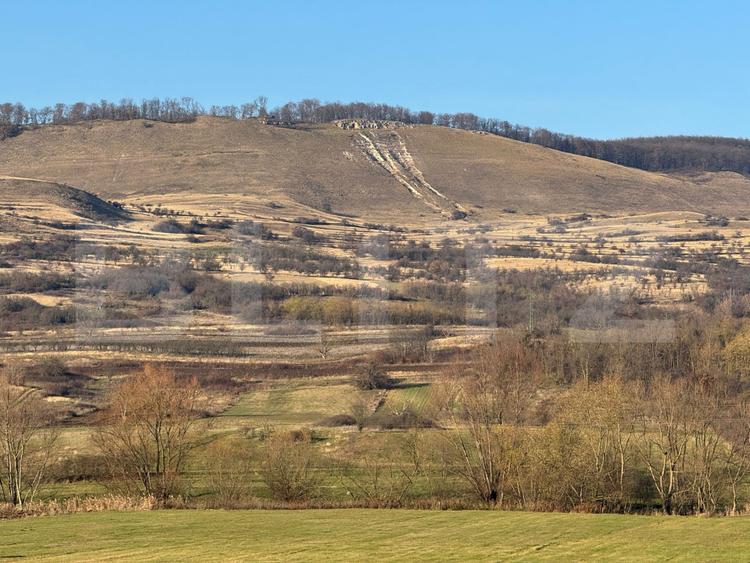 5 terenuri extravilane agricole cu suprafata totala de 13.374 mp