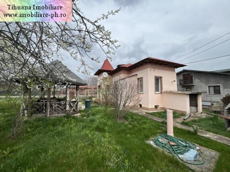 Casa de vanzare - Cocorastii Colt