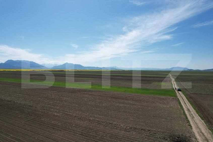 Teren extravilan, 17700mp, zona Prejmer