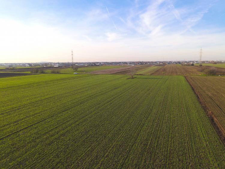 Teren Investitional 1,24 ha Com Berceni | deschidere 42ml | #CG28