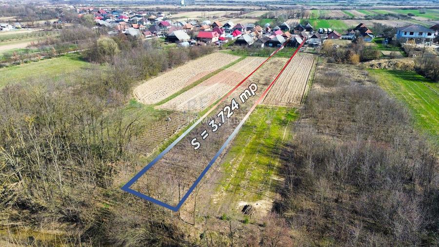 Casa de vanzare in Borlesti, Pomi | 37 ari teren | Comision 0% - 20