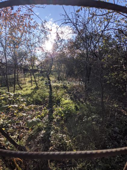 Casă de vânzare, 2 camere, 60 mp, 900 mp teren Dâmbul Rotund zona Dedeman - 4