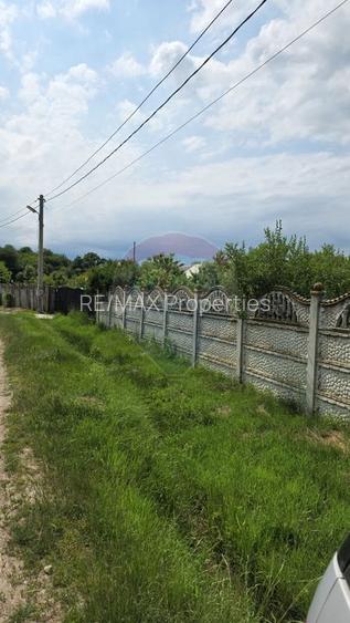 Domeniu rural, gospodarie/multifunctionala cu casa, livada, vie - 35