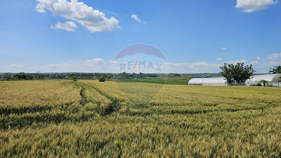 Teren 15,000mp Salcea-Prelipca, Suceava