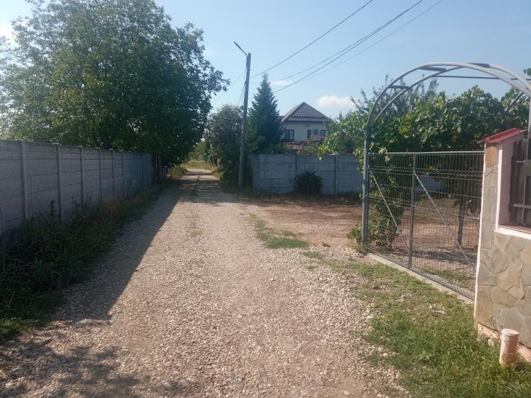 Teren 100Omp, Clinceni, Str Rozelor