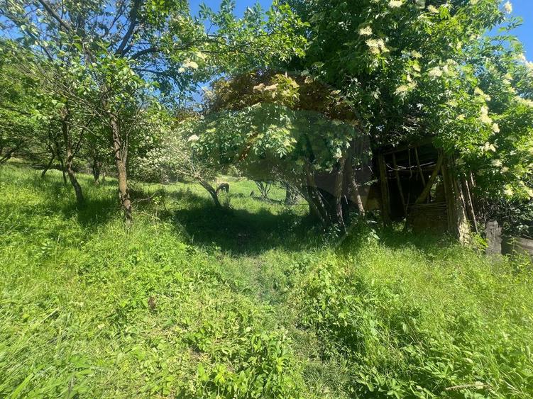 Băicoi | Teren 1000 mp + clădire din zidărie, cu utilitati complete