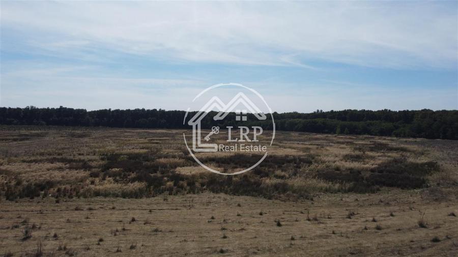 Teren Voluntari-Pipera | 3.700mp | Zonă Pădure & Școli Internaționale