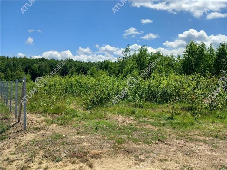Teren intravilan 3900 mp Porumbacu de Sus, Sibiu