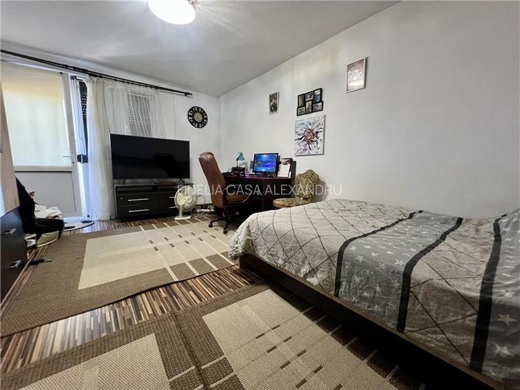Vila  de vanzare  Lunca Cetatuii, - 12