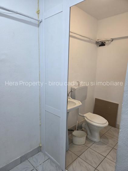 SPAȚIU COMERCIAL DE ÎNCHIRIAT LA MAȘNIȚĂ - 14
