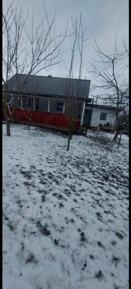 Casă 75 mp + teren 2700 mp în Șerbănești | Curte și grădină