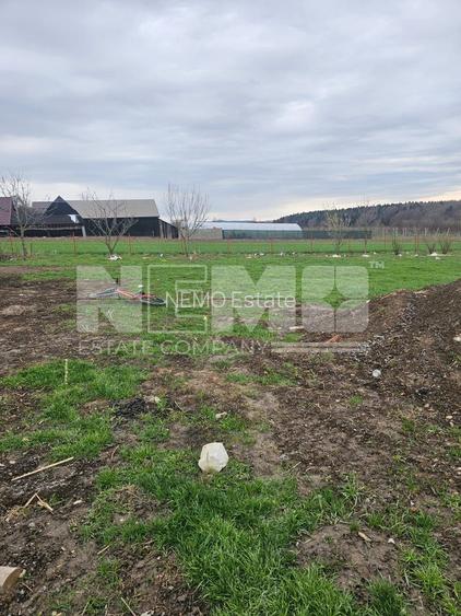 Casa Horodnic | 50 Ari | Complet Mobilată - 7