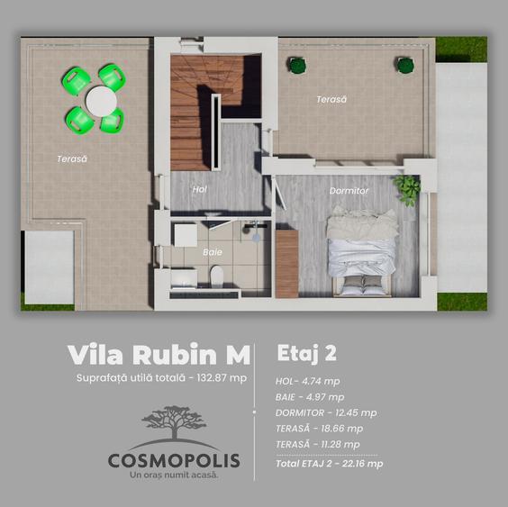 Vila 5 camere - Complex Cosmopolis