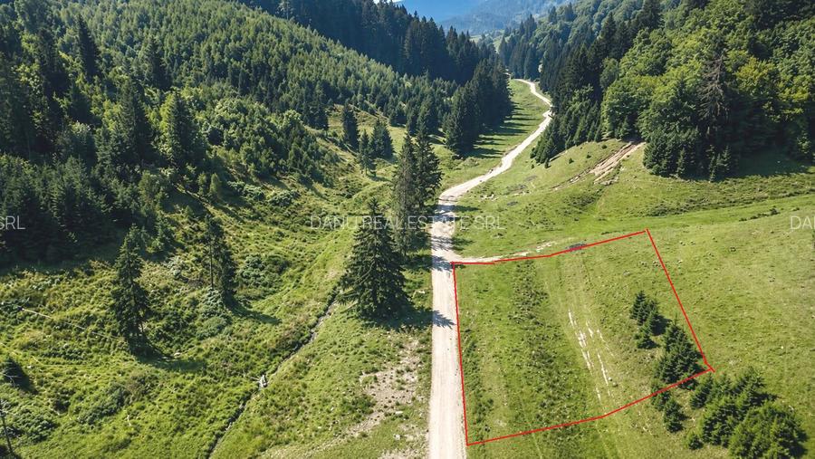 Oportunitate Investiție–Teren Intravilan 2.763 mp, Poiana Brașov Str. Stânii - 2