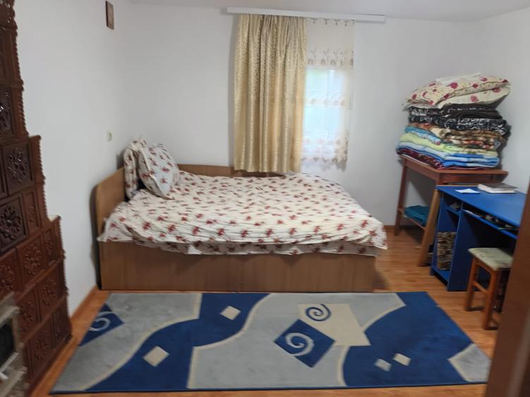 Casa cu 1ha teren la Baisa