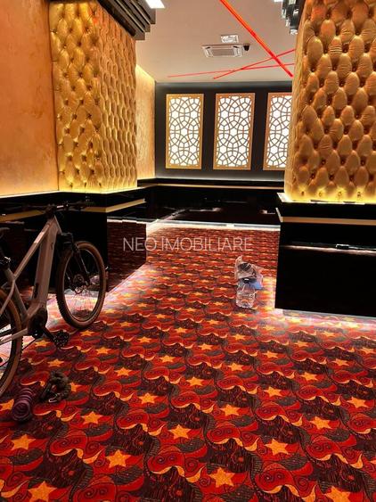 SPATIU COMERCIAL CENTRAL ZONA DACIA la 3.400 euro - 29