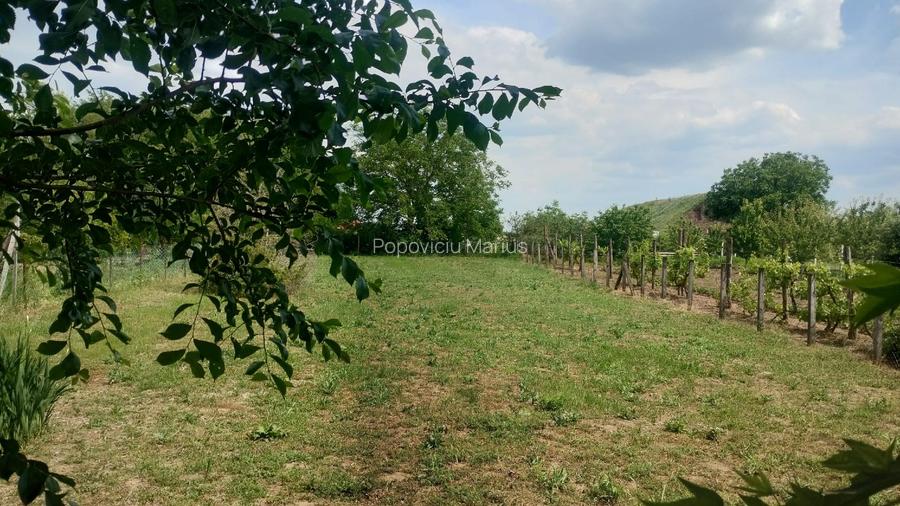 Casa 3 camere la Elek, langa Gyula, Ungaria - 7