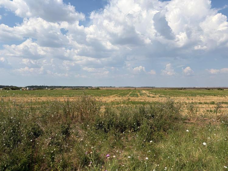 Teren, 12.000 mp, deschidere 51,17 ml, zona Cârcea