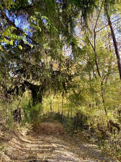 Teren panoramic retras, cu panta lina, utilități si livada