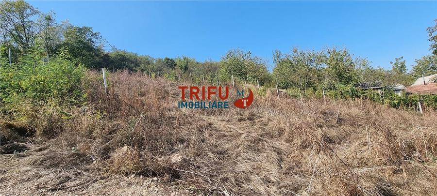Teren 410 mp de vanzare in zona Alba Micesti partea stanga