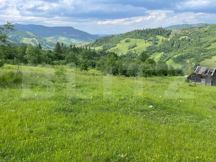 Teren extravilan de vanzare, 2 ha - Campulung Moldovenesc, zona Sandru