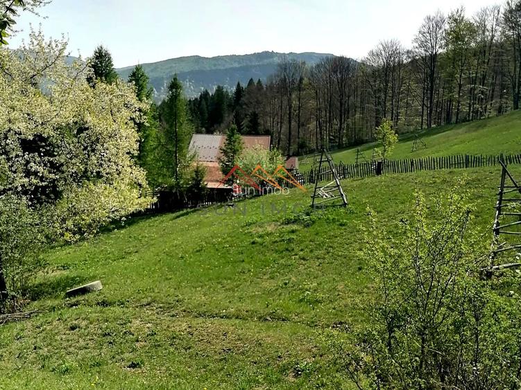 Teren Extravilan 23000 mp-potential turistic Valea Doftanei  8 euro/mp - 4