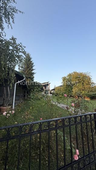 Vila Lac Silistea Snagovului - 26