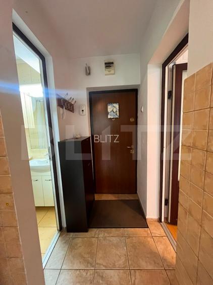 Apartament o camera, 30 mp, etaj intermediar, zona Podu Ros - 8