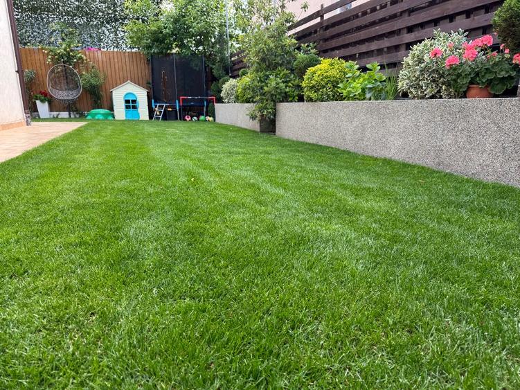 Vila 4 camere, 3 bai si curte amenajata in Chiajna, Proprietar